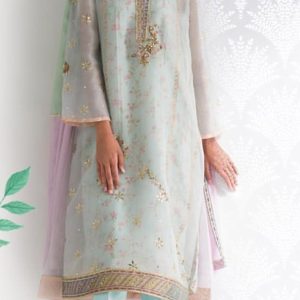 Organza Net Shirt with Chiffon Chatapati Dupatta and SIlk Pants