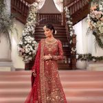 Net Straight Shirt and Border Work Dupatta with Jamawar Farshia Gharara