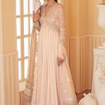 Pure Organza Net Pishwaaz and Dupatta with Silk Pants