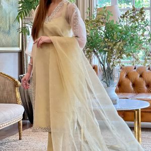 Organza Straight Shirt and Dupatta with Silk Pants