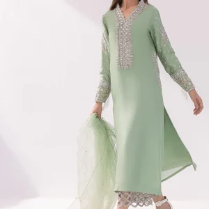 Raw Silk Shirt and Pants with Organza Dupatta