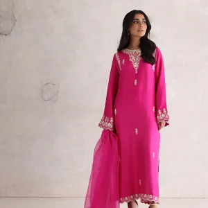 Raw Silk Shirt and Culottes with Organza Dupatta