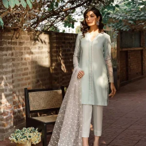 Organza Shirt and Dupatta with Raw Silk Pants